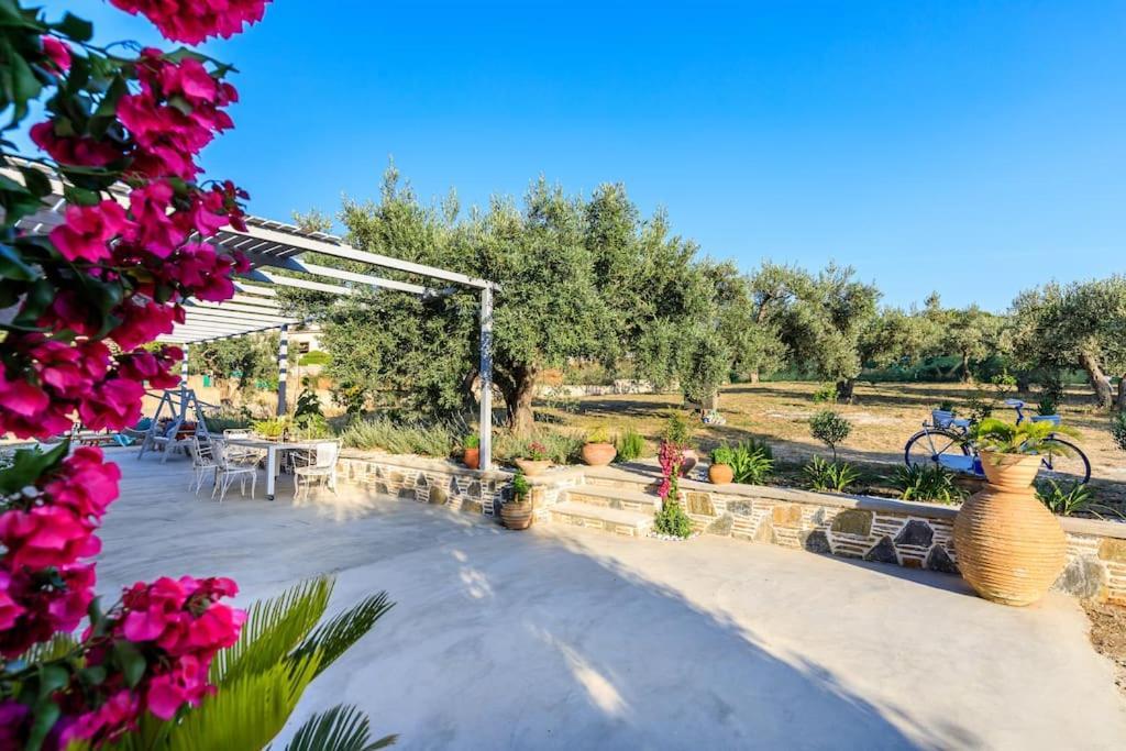 Skopelos Blue Heaven Pool Villa In Olive Grove ภายนอก รูปภาพ