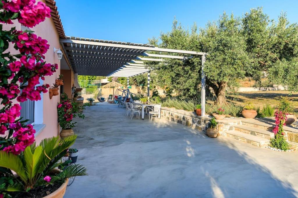 Skopelos Blue Heaven Pool Villa In Olive Grove ภายนอก รูปภาพ